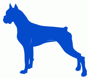 silo_boxer_blue
