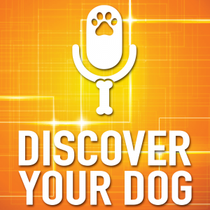 DiscoverYourDog Show Artwork