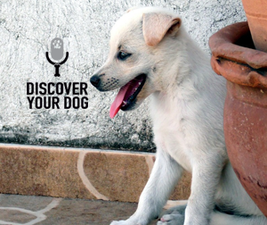 Ep 000 Brainstorm and Discovery