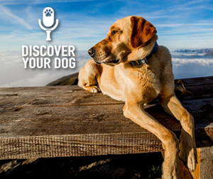 Ep 001 In the Beginning