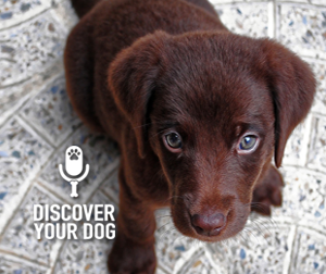 Ep 004 How to Set Dog Training Goals for Maximum Benefit