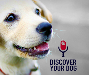 Ep 005 How Dogs Communicate with Us