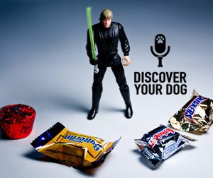 Discover Your DOGMA – (At Least) 13 Ways to Improve Your Willpower