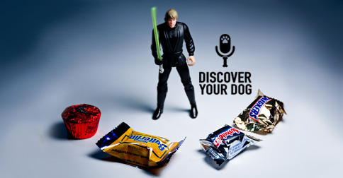 Resisting Temptation