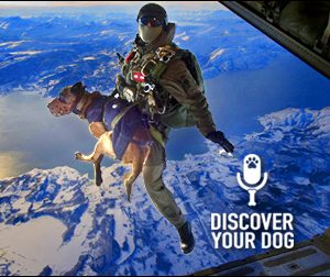 Ep 022 Military Service Dogs