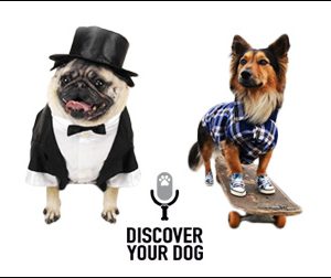 Ep 031 How to Use Formal vs. Casual Commands with Your Dog