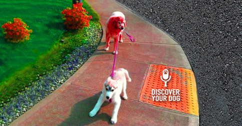 Dog Walking Dog On Leash Picture - Discover Your Dog
