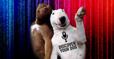 Two Goofy Dogs image