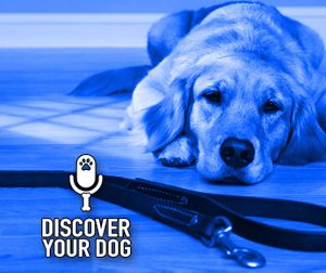 Ep 127 Leash Handling 101 (Revisited)