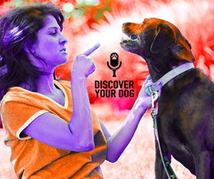 Ep 035 The Three-Correction Rule in Dog Training