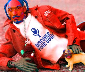 Ep 052 Help Your Dog Make the Right Choice at the Right Time