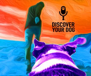 Ep 053 From Your Dog’s Perspective