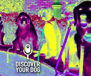 Ep 056 Three Rules for the Off-Leash Dog #1