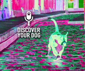 Ep 058 Three Rules for the Off-Leash Dog #3