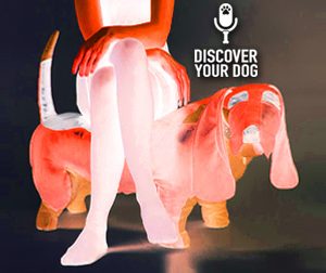 Ep 061 Dog Ownership May Not Be for You