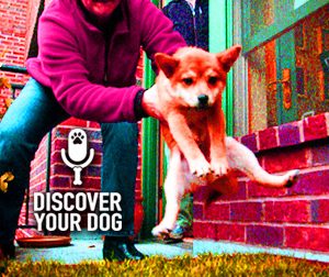 Ep 063 Here’s the Scoop on Potty Training Your Dog