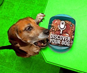 Ep 066 Keep Your Dog from Counter Surfing