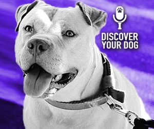 Ep 074 The Freaked-Out, Insecure, Neurotic Dog