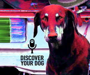 Ep 076 A Prognosis for Your Protective Dog