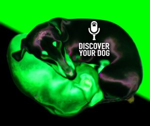 Ep 079 Eastern Medicine on Dog Health and Behavior