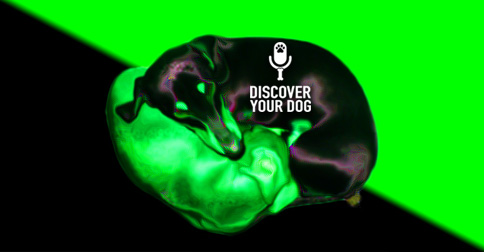 Eastern Medicine on Dog Health and Behavior picture