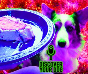 Ep 083 Change Your Dog’s Begging Ways