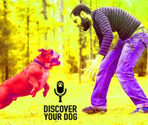 Ep 086 How YOU Communicate with Your Dog!