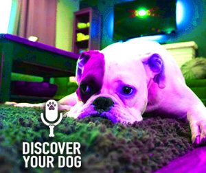 Ep 087 Is Your Family Sabotaging Your Dog Training?