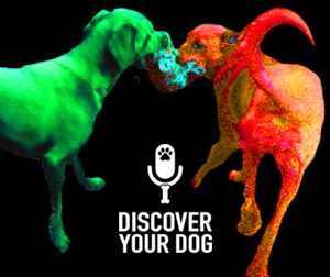 Ep 094 NOTHING is Fair in Tug-of-War with Your Dog