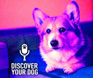 Ep 096 The Needy Dog: Whining, Barking, and Staying Underfoot