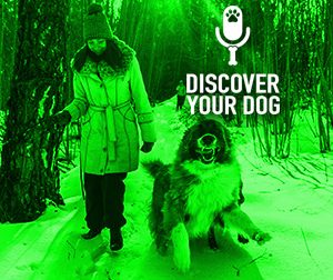 Ep 114 The 9 Things Your Dog Hates About You!