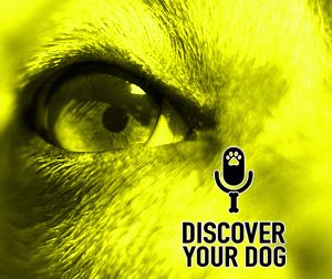 Ep 117 The Jumping Dog, Part 1: I Wish She Didn’t Do That!