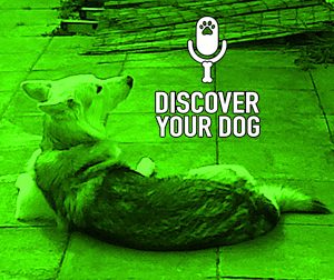 Ep 119 The Jumping Dog, Part 3: The Homework