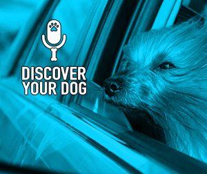 Ep 120 Creating a Bond with Your Dog (Revisited)