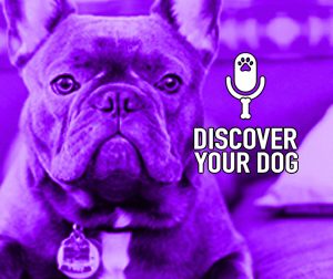 Ep 121 The Barking Dog, Part 1: Woof, Yap, Howl, or Bay