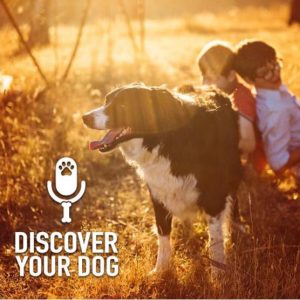 Ep 156 Kids-n-Dogs, Part 3: The Homework