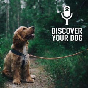 Ep 157 A Trainer’s Insight: The Moment of Praise