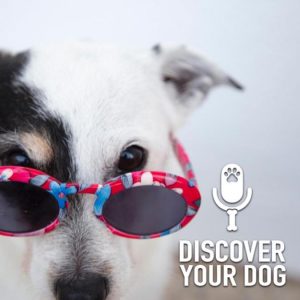 Ep 215 Dog Owners Live Longer