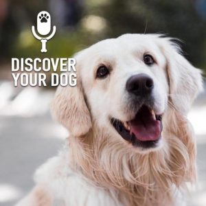 Is Your Dog Stubborn?