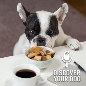 Good (Dog) Communication, Part 2