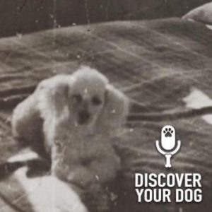 Projecting the Future, Fretting the Past