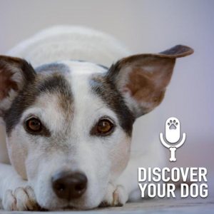 Is Your Dog Non-Essential?