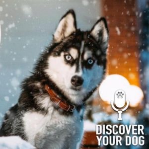 Is Your Dog Psychic (or Psycho!)