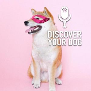 Doggo Super Powers Activate!