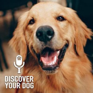 Why One Dog Does Not Behave Like the Other